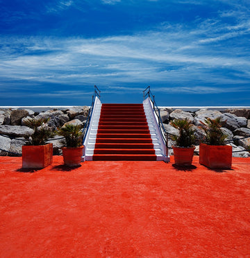 Red Carpet Wedding Backdrop Portrait Background IBD-19433